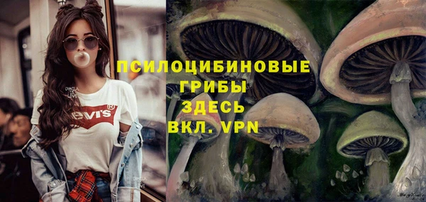 таблы Алексеевка