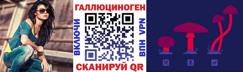 Галлюциногенные грибы Psilocybe Ярославль